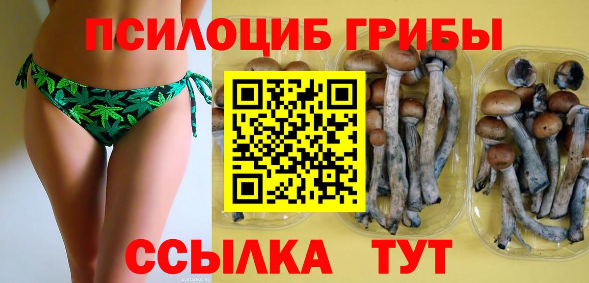 Псилоцибиновые грибы MAGIC MUSHROOMS  Вход с VPN  Нальчик  Галлюциногенные грибы Cubensis 